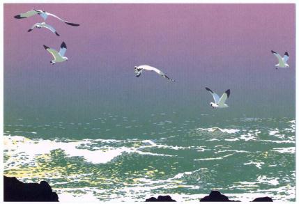 �G����t���E�P�X�W�U�D�Q�D�T�����@�I�z�[�c�N