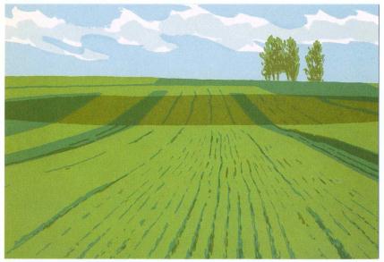 �G����t���E�P�X�W�U�D�S�D�P�T�����@�\������