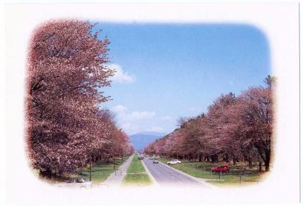 �G����t���E�P�X�W�V�D�Q�D�Q�����@�Ó���\�ԓ��H�����ؓ�