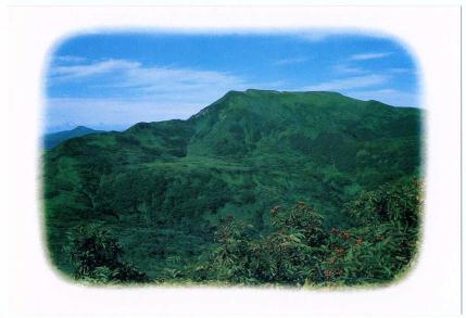 �G����t���E�P�X�W�V�D�Q�D�Q�����@�����ʊx