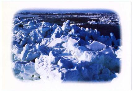 �G����t���E�P�X�W�V�D�Q�D�Q�����@��ʂ̗��X