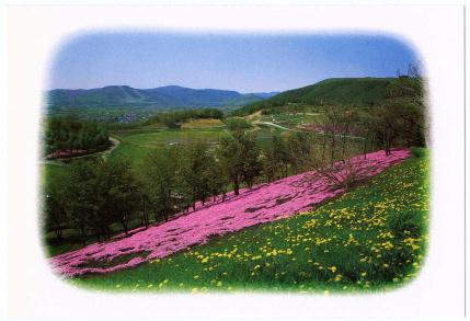 �G����t���E�P�X�W�V�D�Q�D�Q�����@���z�̋u���񂪂����