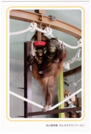 �G����t���E�{���l�I�I�����E�[�^��