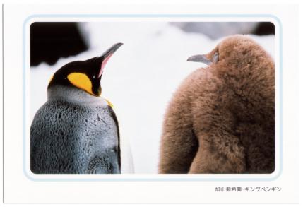 �G����t���E�L���O�y���M��