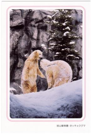 �G����t���E�����ۂ�e���r��