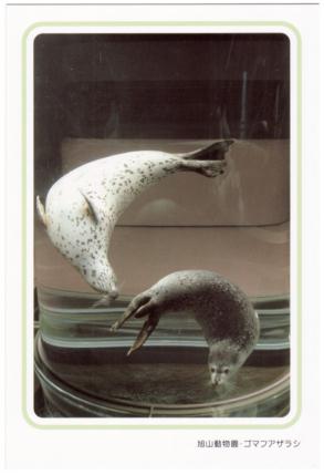 �G����t���E�S�}�t�A�U���V