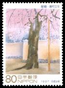 �؎��T�ԁE���