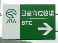 �i�q�`�����琬�q��Ŕ�