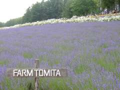 �t�@�[���x�c�E���x���_�[��