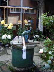 �����t�e�⋌���Վʐ^