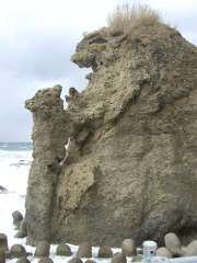 ���e�q�F�Ύʐ^