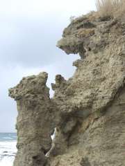 ���e�q�F�Ύʐ^