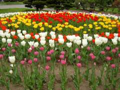 �ʐ^�E�������O�̃`���[���b�v