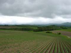 ���l�̋u���i