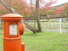 �z�e���E�����ٖԑ��č��o���O