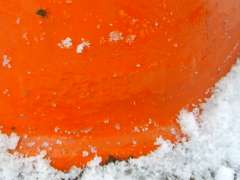 �ی`�|�X�g�E�����X�֋ǑO