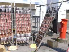 �ی^�|�X�g�E���쏤�X�O